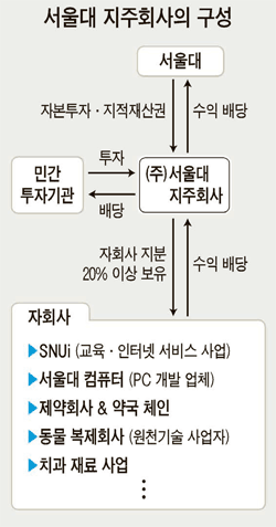 서울대 기술지주회사의 지배구조를 보여주는 도표.