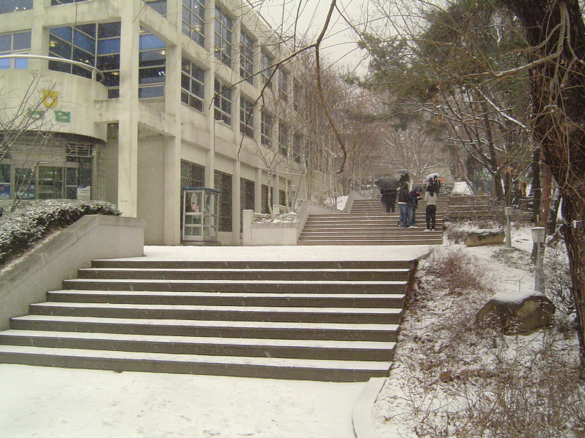 ‘걷고 싶은 거리’ 조성 이후 사라진 자하연의 경사로. 장애인 이동권을 침해한다는 이유로 2006년부터 거센 비판을 받았다.